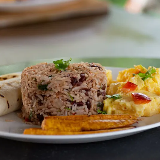 Le plat national Costaricien est le Gallo Pinto