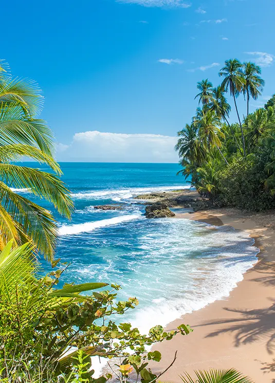 Visitez le Costa Rica toute l'année